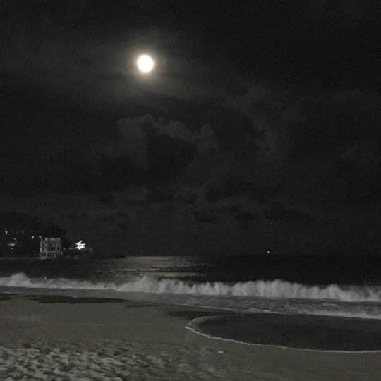aestheticspost_'s tweet photo. beach at night https://t.co/EydsM3dMqg