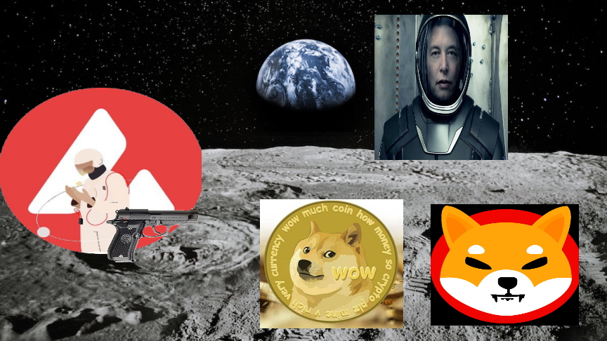 weller313's tweet photo. @SafeMoonAVAXCOM #SafeMoonA @SafeMoonAVAXCOM 
@zVenusus @xNehemiahxx @sinemydd 
Have your seats kids, here comes the owner of the place.
🚀🚀🚀🚀 https://t.co/NHkht66cP4