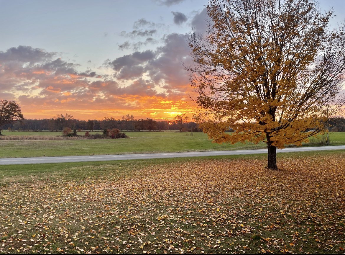 ferrells2242's tweet photo. @NC5_LelanStatom beautiful morning in Manchester. Photo taken by David Ferrell https://t.co/WJY3PNMkVp