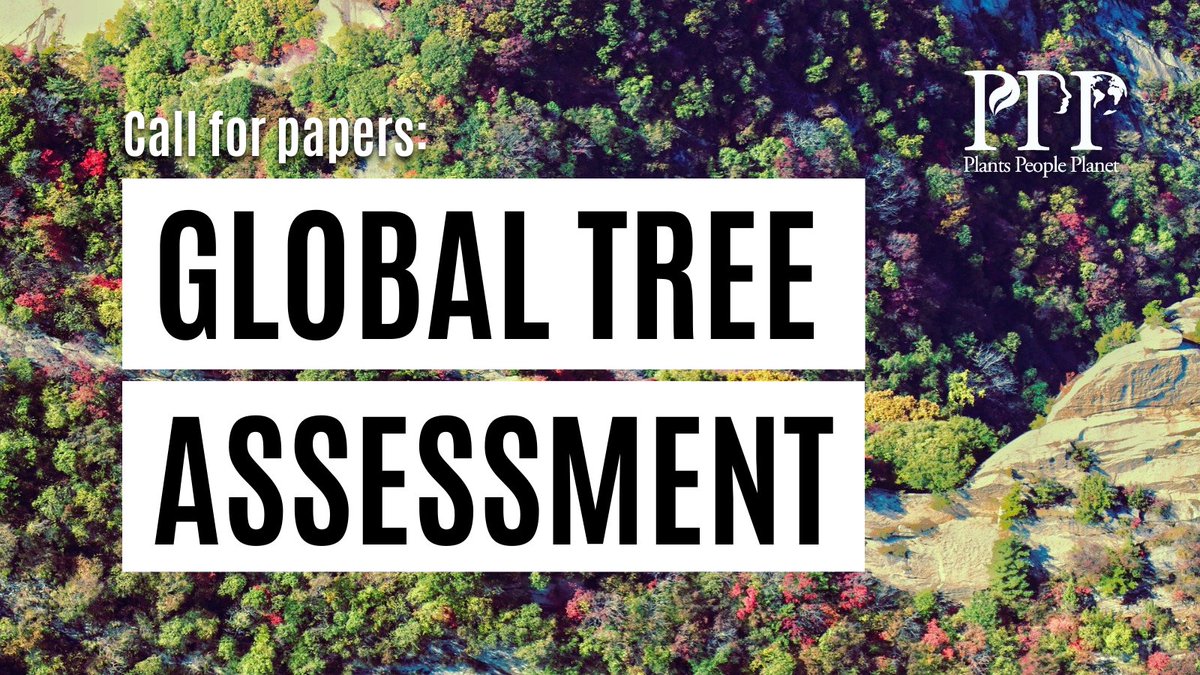 Plants People Planet 🌱👥🌐 (@plantspplplanet) on Twitter photo 📢 Call for papers! 🌳
With the publication of the Global Tree Assessment, we know more about the global threats to #trees.
<a href="/MalinRivers/">Malin Rivers</a>, <a href="/ruminatus/">Chuck Cannon</a> and Chen Jin invite authors to discuss key achievements, results, lessons learned, and future steps.
👇
newphytologist.org/news/view/288 📢 Call for papers! 🌳
With the publication of the Global Tree Assessment, we know more about the global threats to #trees.
<a href="/MalinRivers/">Malin Rivers</a>, <a href="/ruminatus/">Chuck Cannon</a> and Chen Jin invite authors to discuss key achievements, results, lessons learned, and future steps.
👇
newphytologist.org/news/view/288