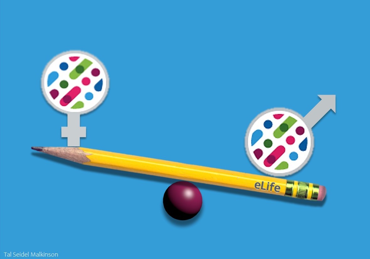 Dr Tal Seidel Malkinson tweet media