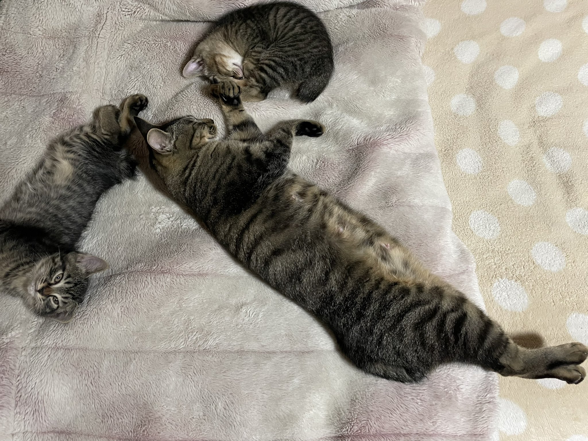 もじもじくんページ もじもじくん (@mojimojikun1) • Instagram photos and videos