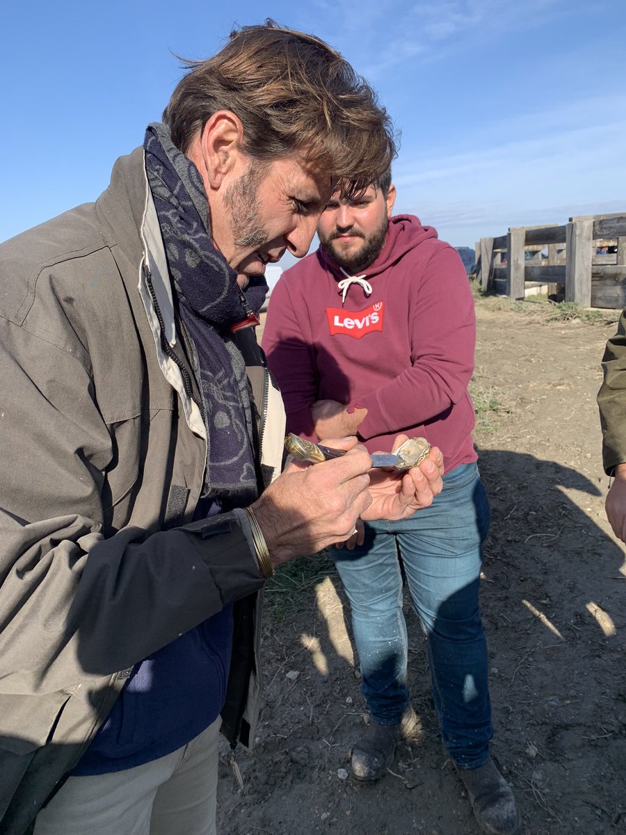 Partager quelques huîtres de #Camargue avec le maestro Juan José Padilla, on est bien 😍♥️
Que cette Levée des Tridents va être belle !

#leveedestridents #Nîmes