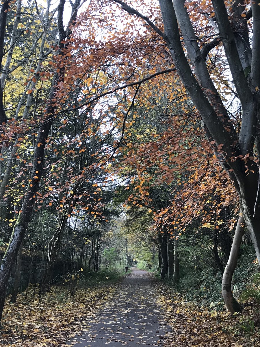 RosemaryKaye1's tweet photo. Thursday walk #DeesideWay https://t.co/v3aUn8BWwQ