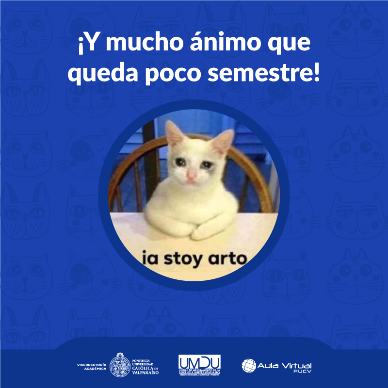 Aula Virtual PUCV tweet media