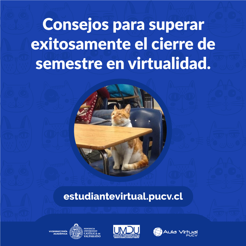 Aula Virtual PUCV tweet media