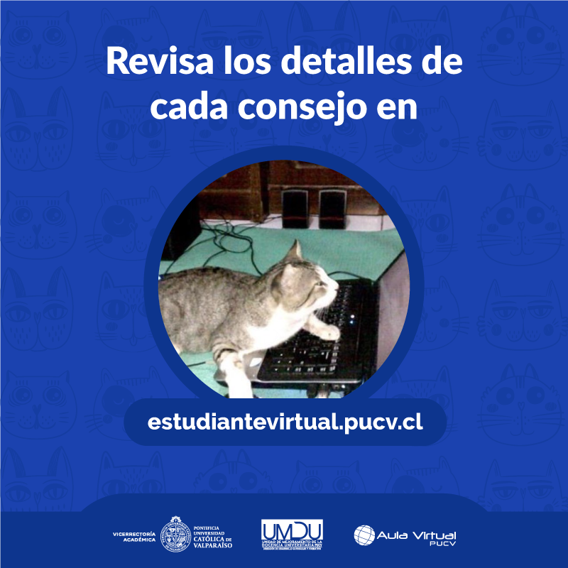 Aula Virtual PUCV tweet media