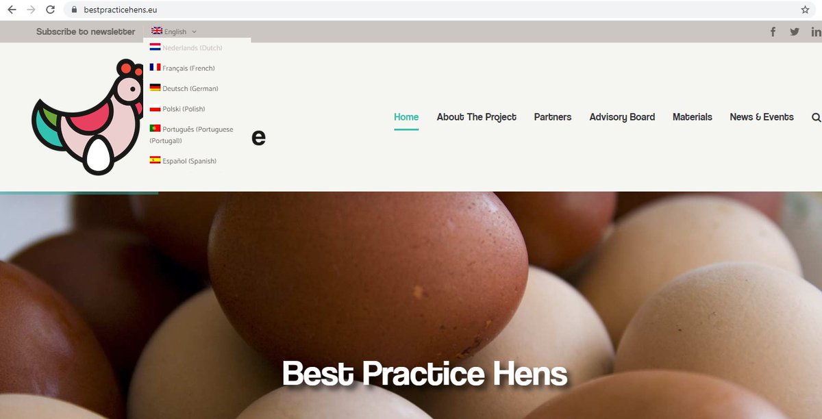 BestHens's tweet photo. ✅ The website and the flyer of the Best Practice Hens is now available in 7 EU languages: EN, ES, DE, PT, NL, PL and FR. 
📍 Visit us on https://t.co/qNi5YBLQmW 

#bestHens #sustainableeggs #animalwelfare https://t.co/MEhfLcbOc8