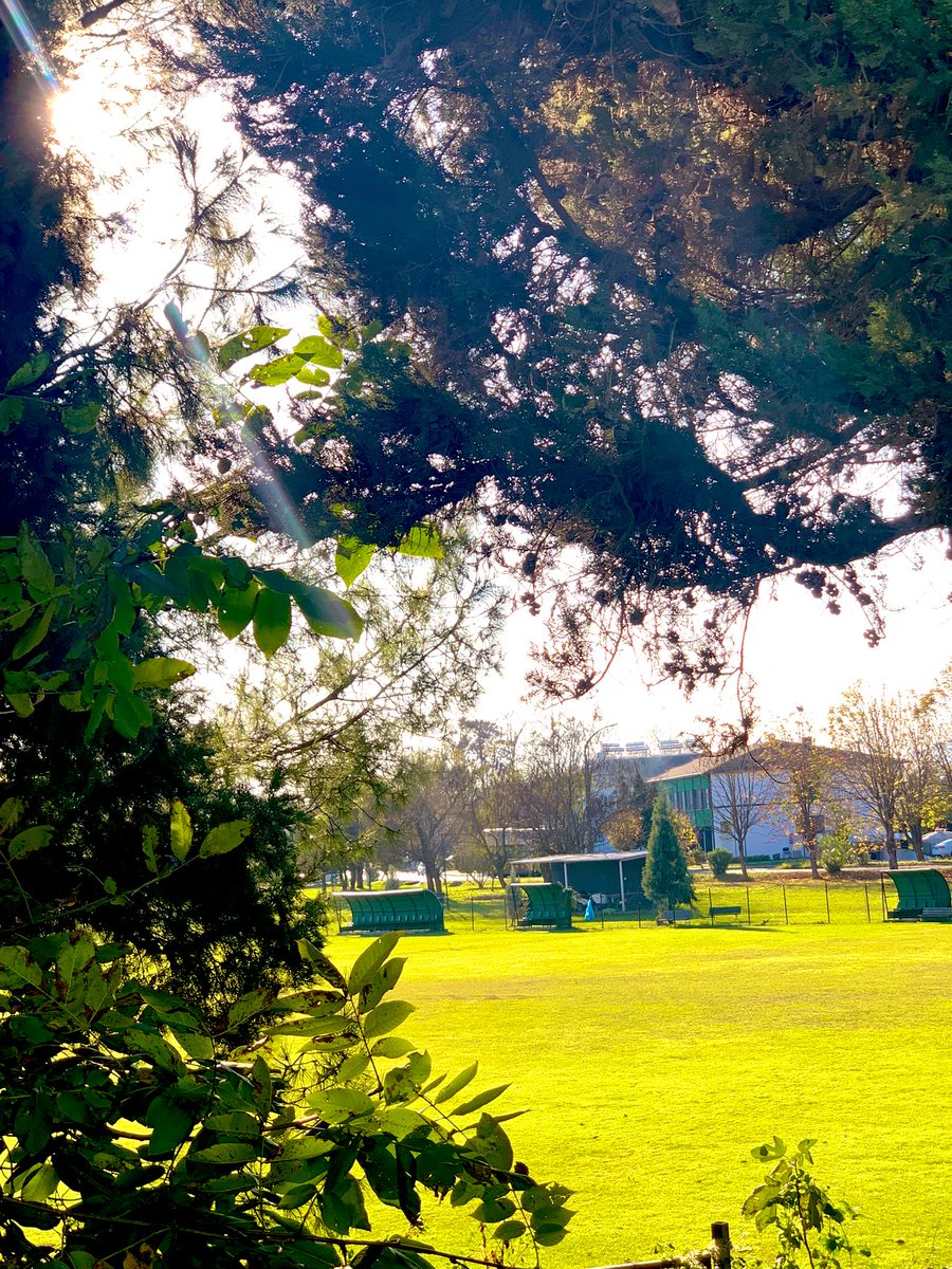 Ekmek kadar temiz, su gibi aydın