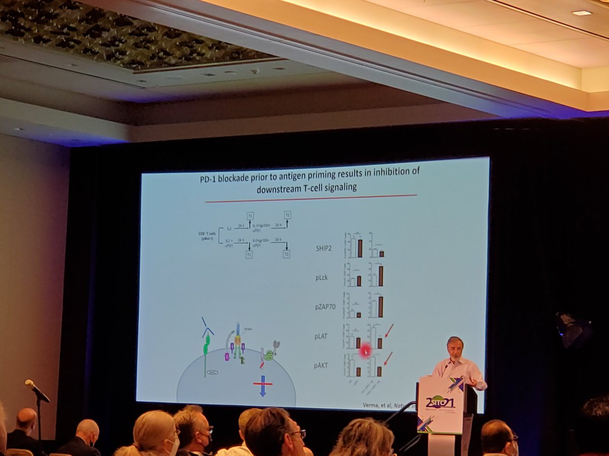 <a href="/SamirNKhleif/">Samir N. Khleif, MD</a> from <a href="/Georgetown/">Georgetown University</a> highlighting the importance of optimally priming T cells BEFORE PD-1 blockade. If the T cells are suboptimal primed, PD-1 blockade may actually induce T cell dysfunction #SITC21