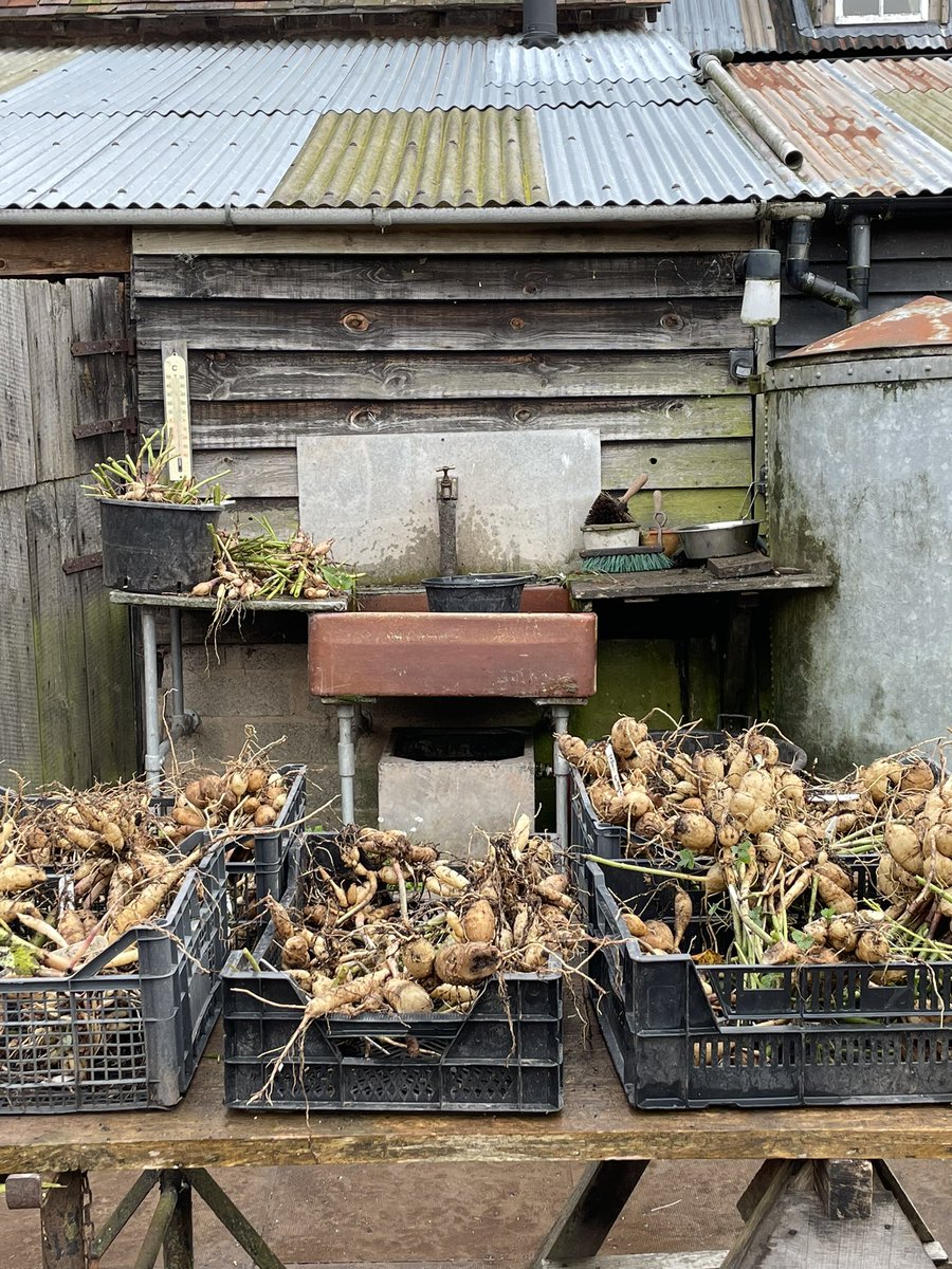 Monty Don tweet media