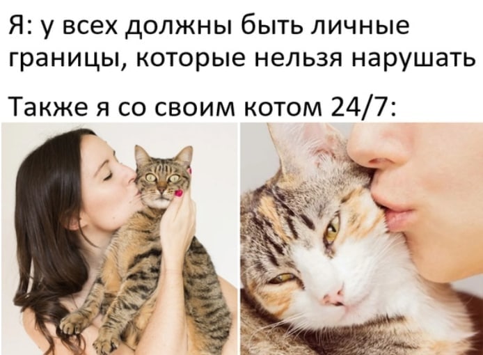 RussianMemesLtd's tweet photo. Im: everyone should have a personal boundaries, which cannot be violated

Also me with my cat 24/7: https://t.co/Ok5UQY0Lfw