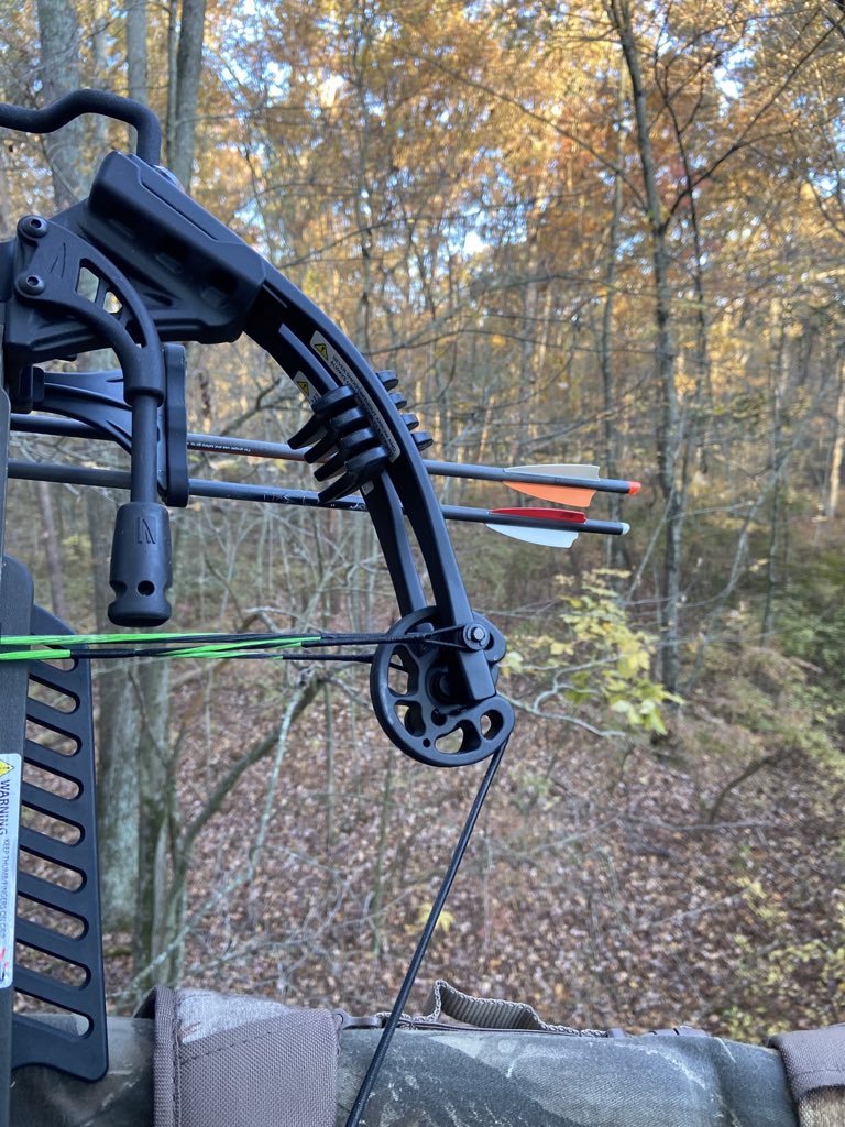 Beautiful morning on Md Eastern Shore hunting with my little brother.