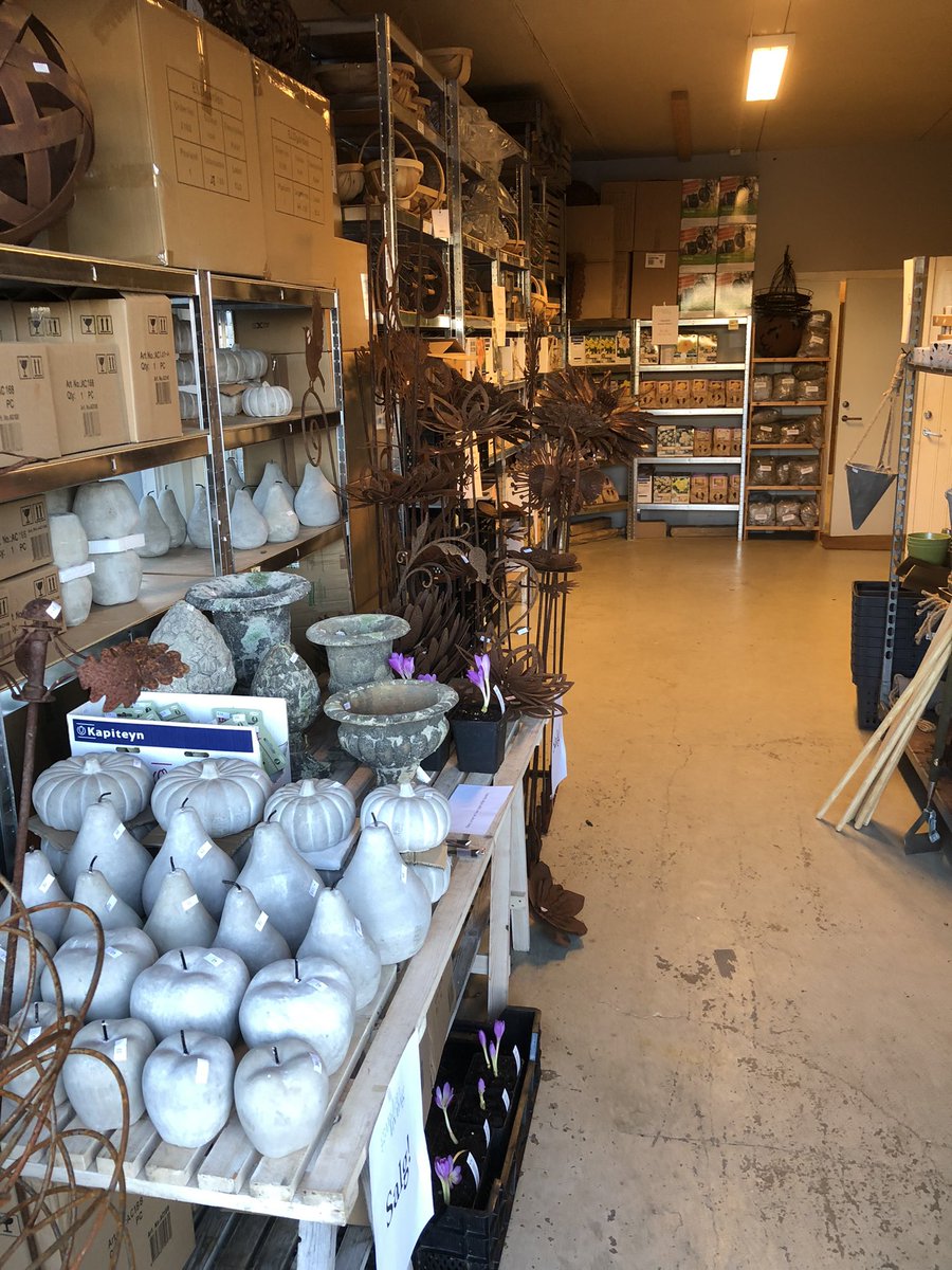 We’re having a warehouse sale today. Come buy my bulbs… 🌷🌷🌷