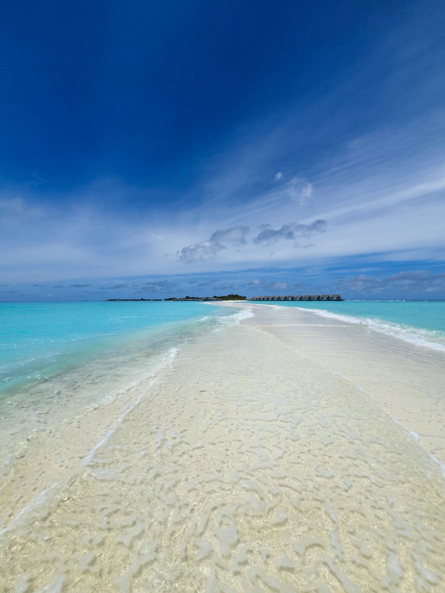 Niva_Kuramathi's tweet photo. Nothing beats the view of the iconic sandbank of Kuramathi, so heavenly and tranquil!
#Kuramathi #Maldives #sandbank #indianocean #traquility #serenity #islandvibes https://t.co/k2vtZ8j2Tu
