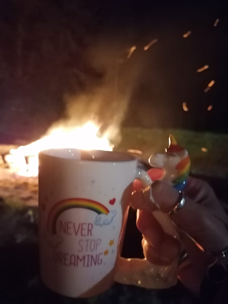 out_ten's tweet photo. Happy Singles day ☀️
🤔Met me, myself and I klinkt het bijna als een menigte... 
In ieder geval goed gezelschap! #scoutout #scoutingnl #campfire #adventuresawaits #avonturenmaakjezelf #happy https://t.co/0NgZIjhpxn