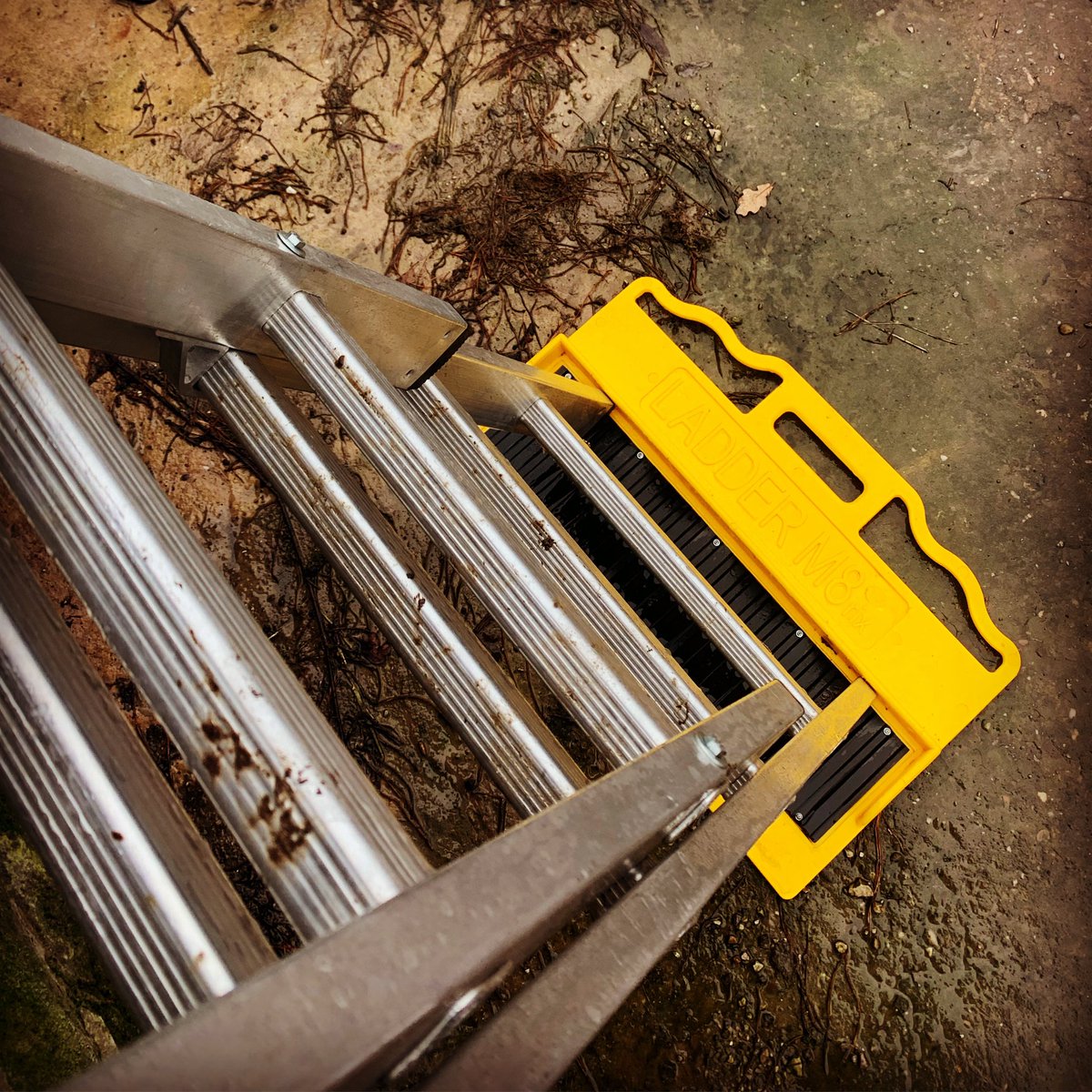 ladderm8's tweet image. Autumn ready? 🍂 Use a ladder? Think ladder safety, Think LadderM8rix! #ladderm8rix #ladders #laddersafety #worksafer #worksaferworksmarter