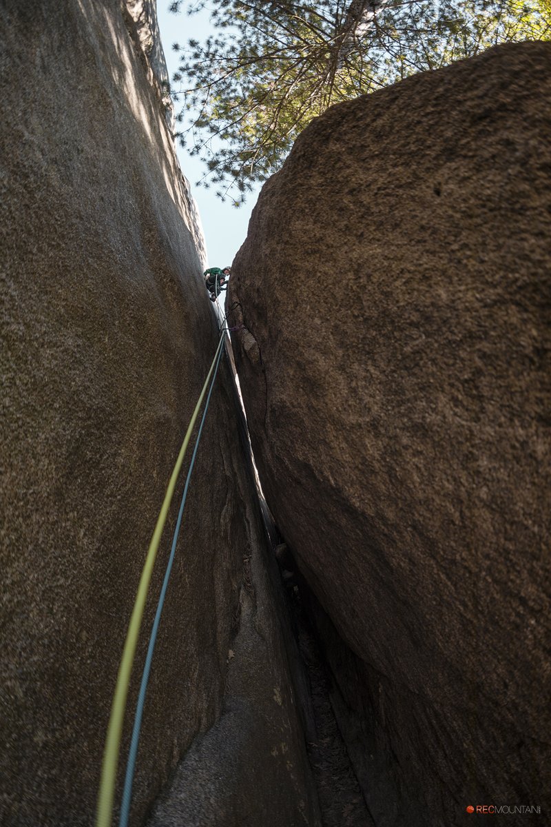 RECmountain tweet media