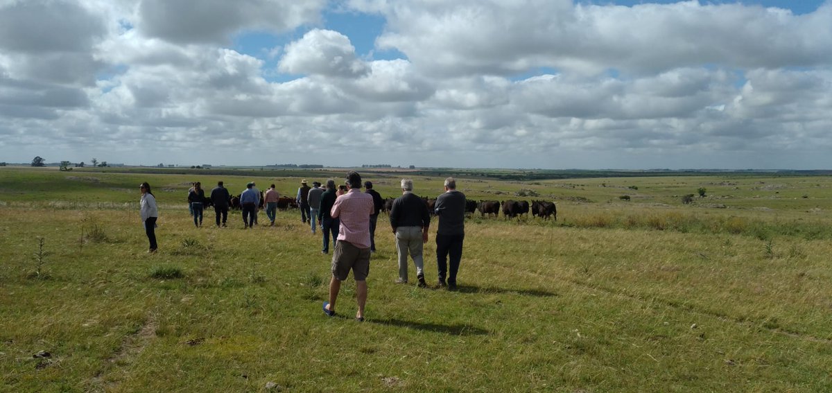 Plan Agropecuario tweet media