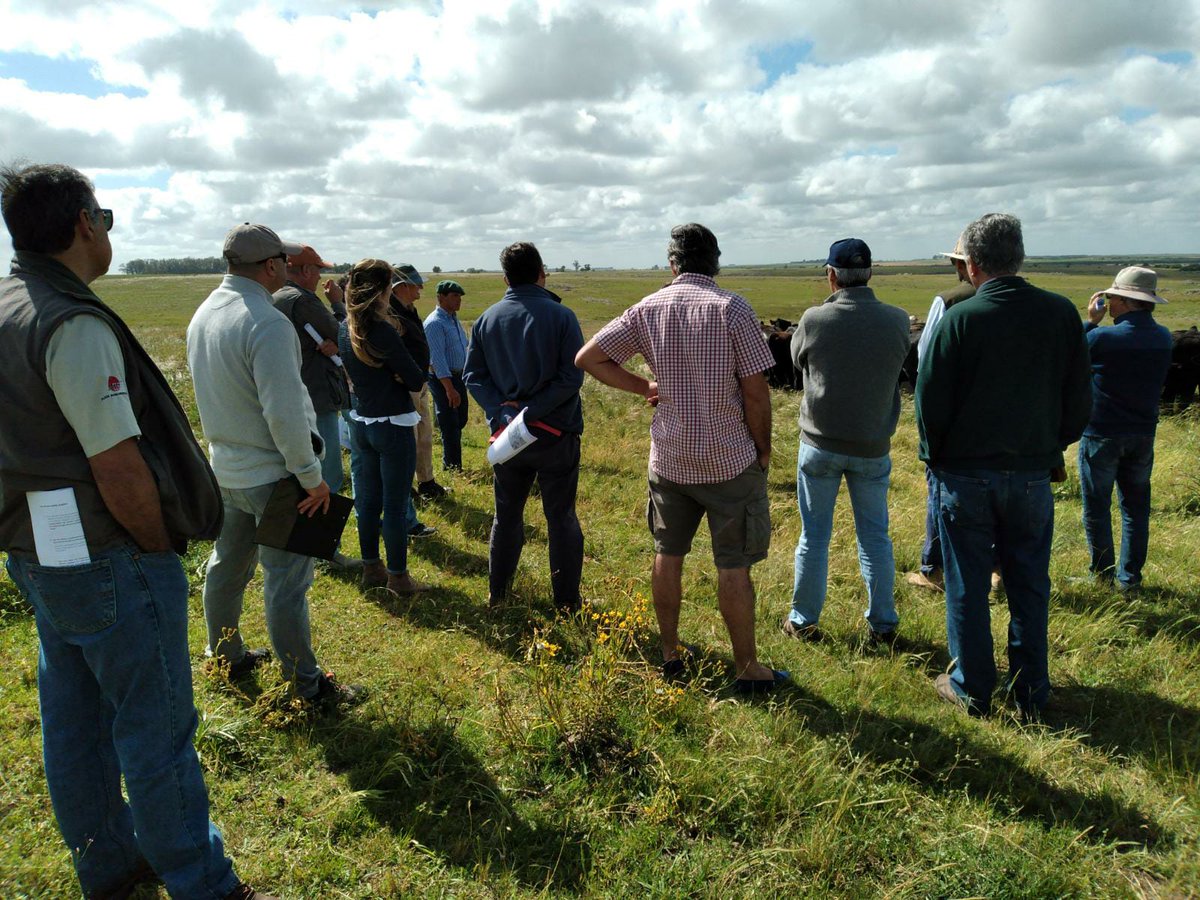 Plan Agropecuario tweet media