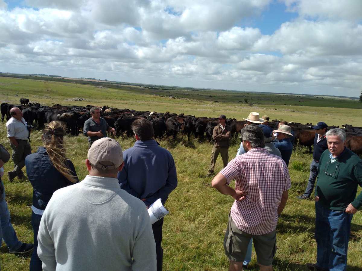 Plan Agropecuario tweet media