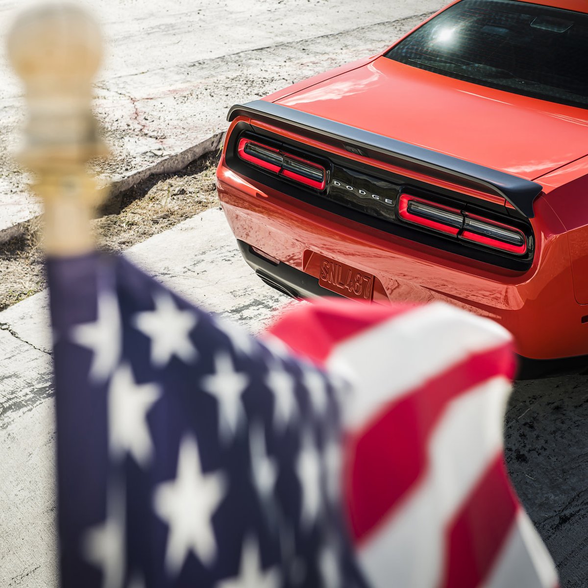 We salute our veterans. Thank you for allowing our horsepower to run free.