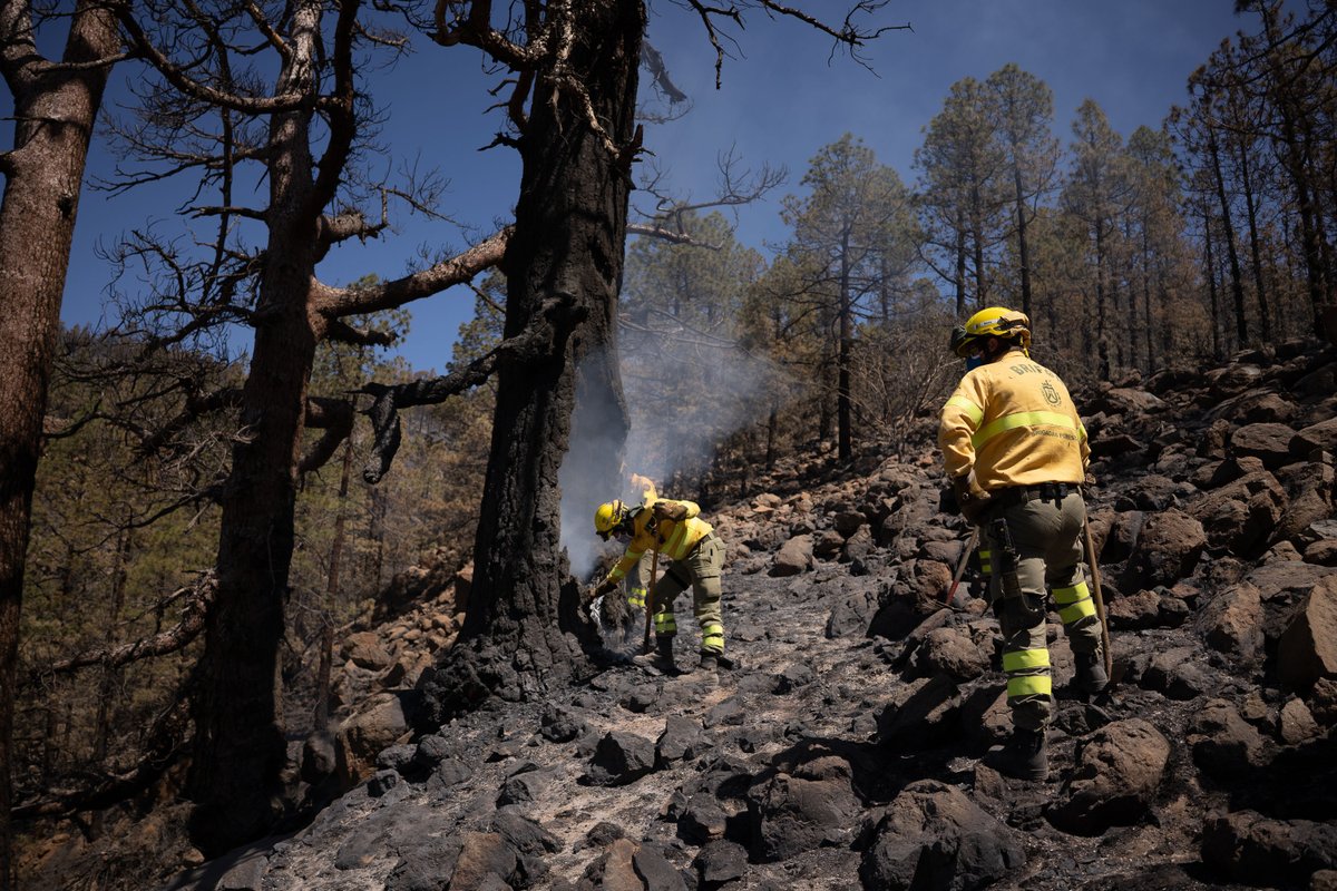 MedioNaturalTF's tweet photo. El #IFArico  fue el más grave, con 3.052 hectáreas de terreno quemadas. Se necesitaron cinco meses para declararlo extinguido.

✅ Fuera del ámbito forestal actuaron en 33 conatos y 3 incendios.

(sigue...) https://t.co/oyPpSTp16n