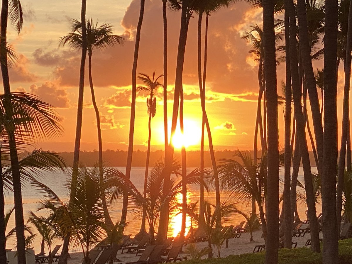 Stressful beginning to the day 😎