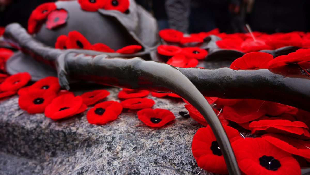 Lest we forget #CanadaRemembers