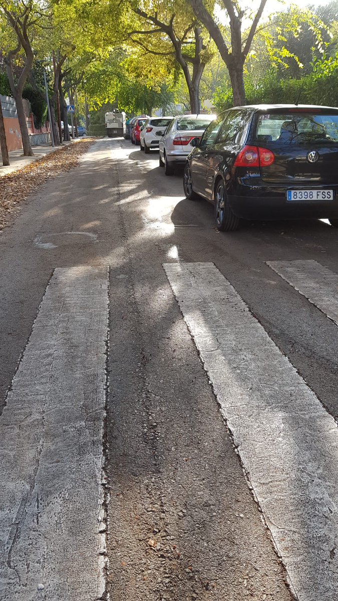 ajsantcugat's tweet photo. 🌲Els equips municipals de #ParcsiJardins continuen treballant en la poda i manteniment de l'arbrat a #MasGener Les actuacions es faran a la resta de barris de la ciutat seguint el calendari previst.
#CuidemSantCugat #QualitatUrbana
@JoseGallardoSTQ @mireiaingla @JMMompin https://t.co/K1fbqIO44R