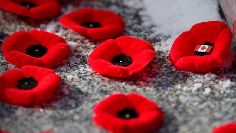 Every year on November 11, Canadians pause in a moment of silence to honour and remember the men and women who have served, and continue to serve Canada during times of war, conflict and peace. We thank you. #RemembranceDay