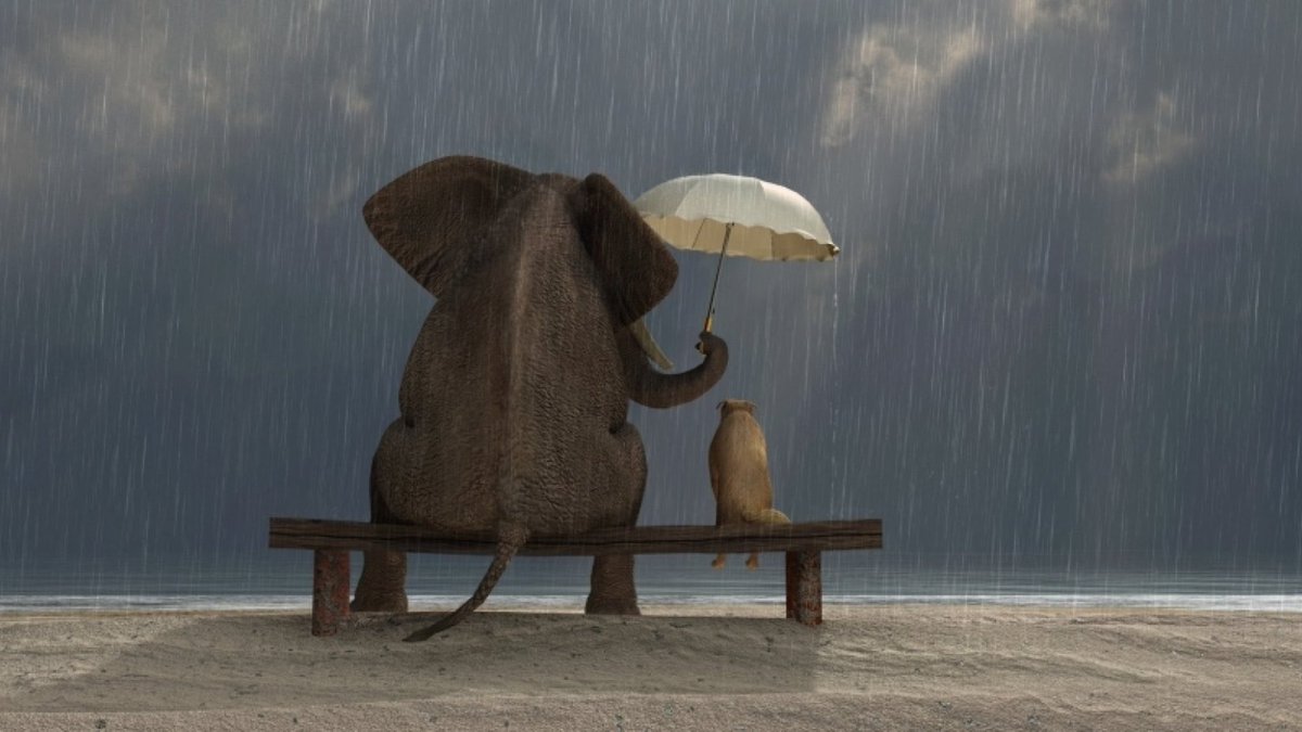 2. Being nice is overrated. 

- be kind 
- be fair 
- be understanding 

People will take advantage...