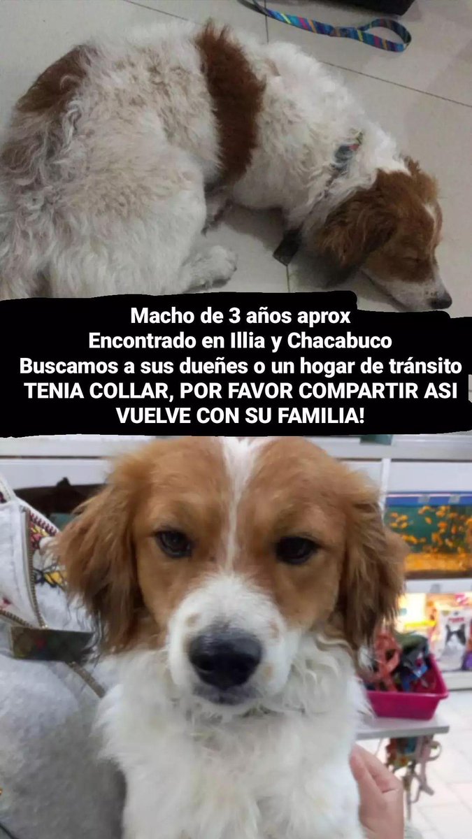 Seguimos buscando a su familia!!! Compartan porfa <a href="/VivireNuevaCba/">VivirenNuevaCórdoba®</a> <a href="/VivirEnNuevaCba/">Vivir en Nueva Cba</a>