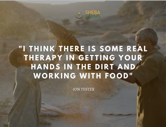Shebafarms tweet media