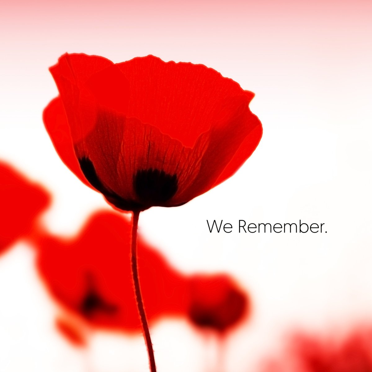 ImagicGlass's tweet photo. "May we never forget that freedom isn’t free" 
 #LestWeForget https://t.co/3DQ1mw1d17