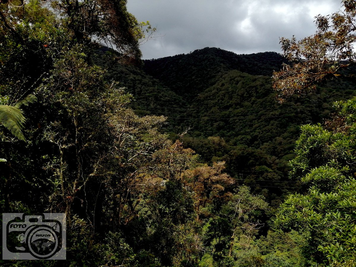 MiryonMontes's tweet photo. Macizo Colombiano https://t.co/2PHMtTznlA