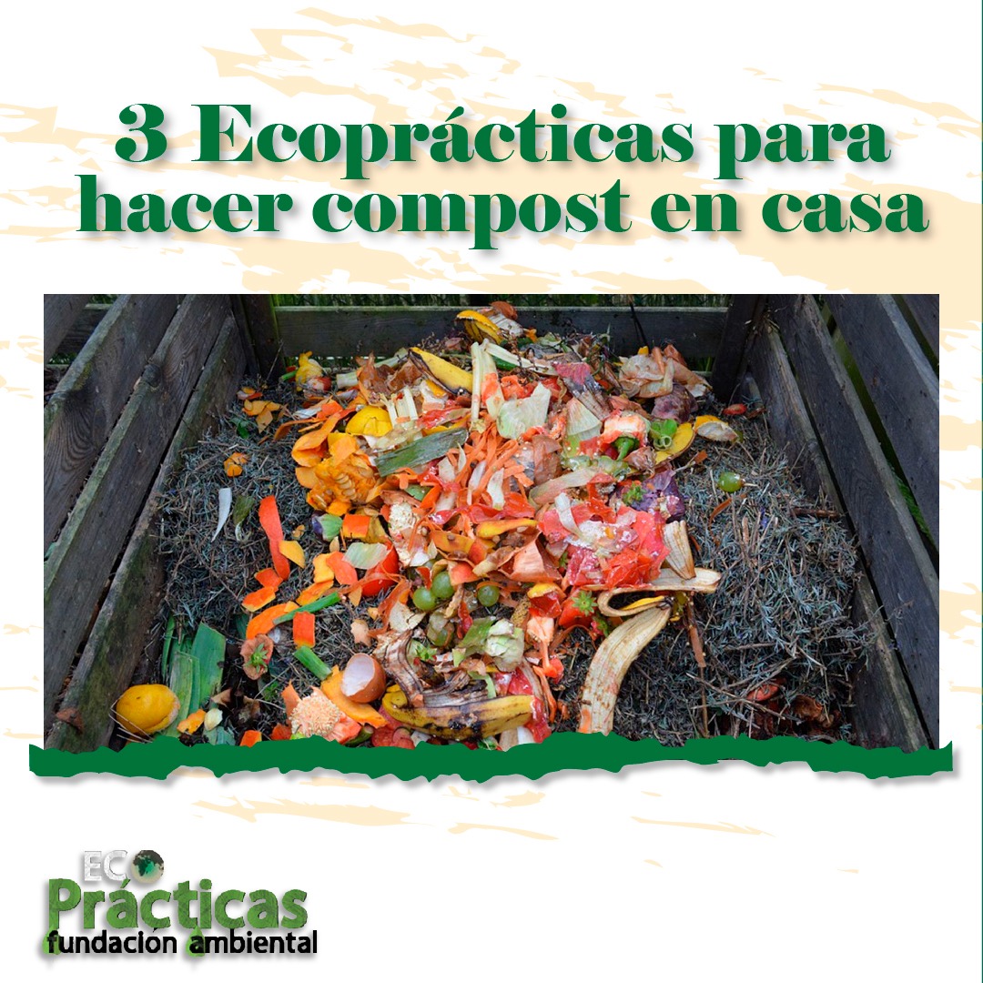 ecopracticas's tweet photo. ¿Como hacer #compost #abono en tu #CASA ?
 #huellaambiental https://t.co/uip0CGhyJR