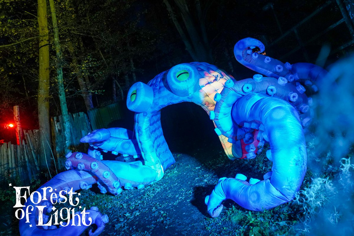 BeamishHall's tweet photo. 𝐌𝐚𝐠𝐢𝐜 𝐨𝐟 𝐭𝐡𝐞 𝐡𝐢𝐠𝐡𝐞𝐬𝐭 𝐨𝐫𝐝𝐞𝐫! ✨ 🤩 🧚 The Forest of Light starts tomorrow and we can't wait to welcome you all down to our magical new world. 

Very limited tickets for November, December &amp; January remain. Buy them online now 👉  https://t.co/gCvShoUZJe https://t.co/HAxsM2XVqu