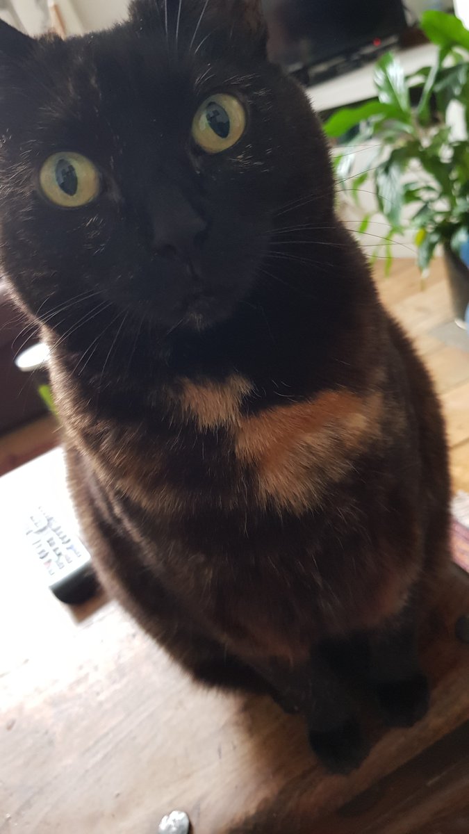 Rachel Mars tweet media