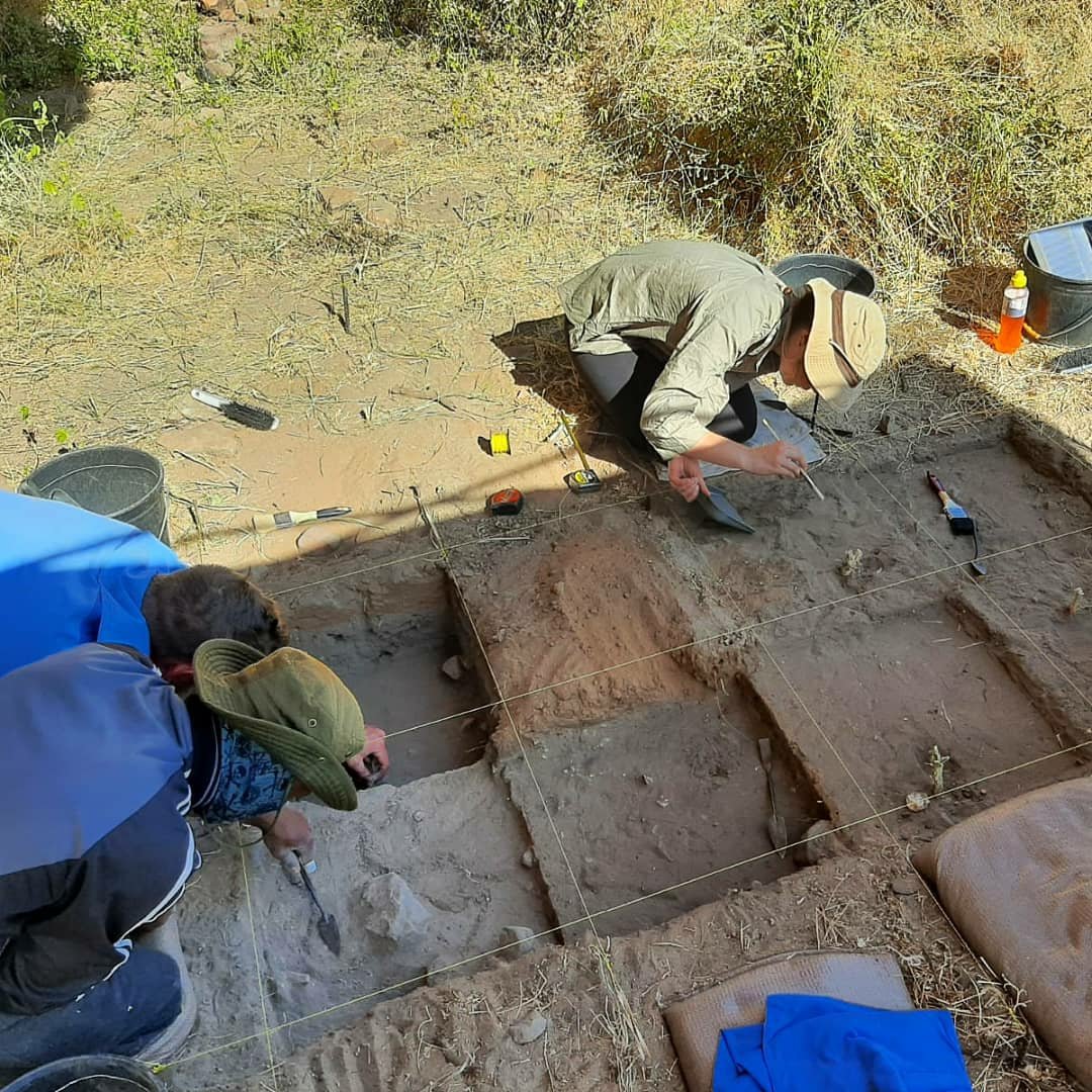 project_harp's tweet photo. HARP is thrilled to announce that four of its members recently were awarded grants from @PASTEvolve for their research in northern South Africa. Congratulations @skkuhlase340 @chante_barnard_99 @courtneyknell and Justin Pentz for a fantastic achievement! We can't wait for 2022! https://t.co/kyQXVZkLBD