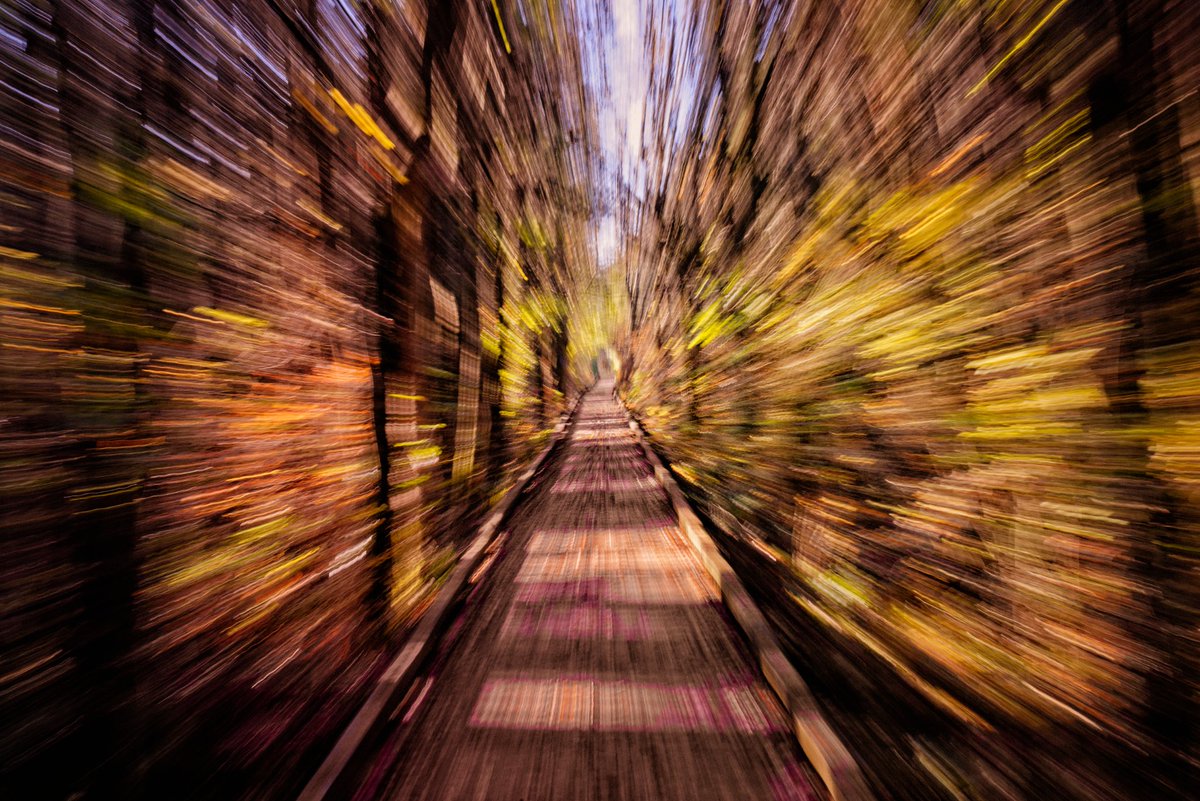 A Look Back #tbt - The Boardwalk at the Atlantic County Park at Estell Manor #NewJersey.
.
.
#EstellManorNJ #nj #jersey #southjersey #southjerseyadventures #abstract
#landscape #landscapephotography #nature #naturephotography #photography