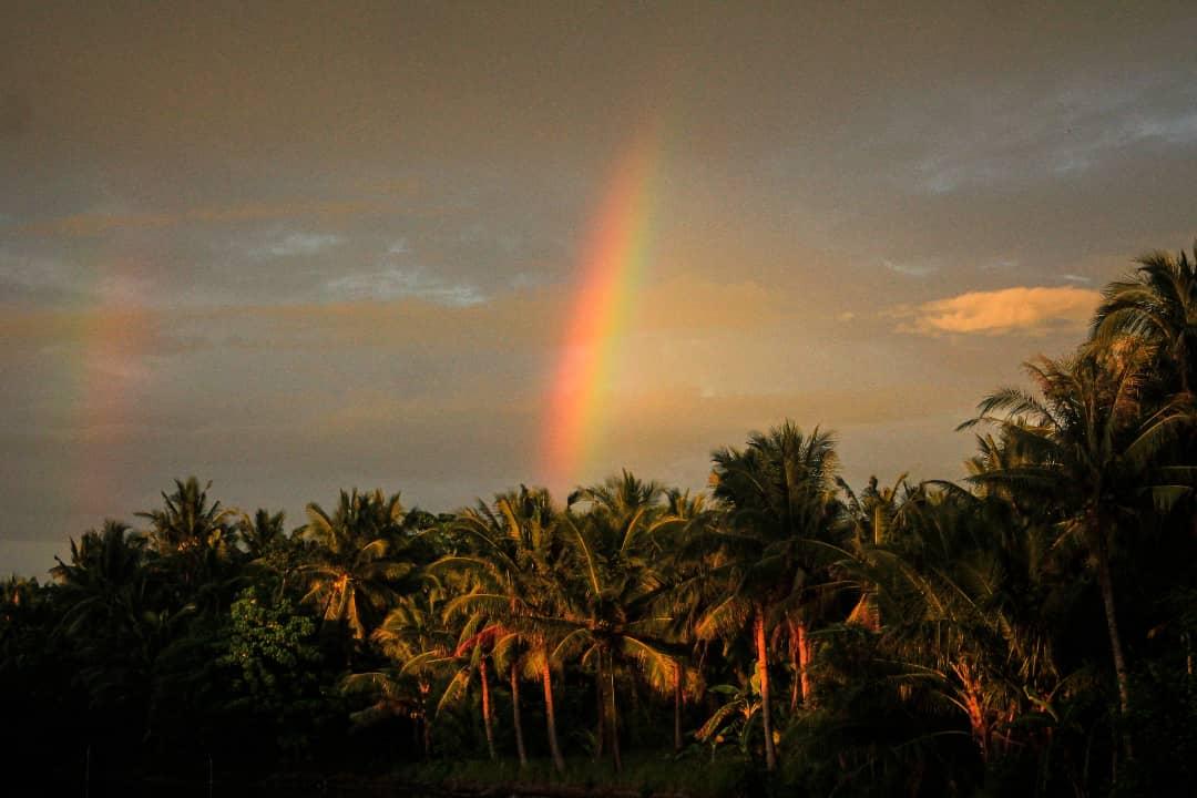 jemcagayan's tweet photo. So near yet so far! 🌈

#Rainbow

📸: Jeromie Cagayan × Jhonna Cagayan
11.11.2021_05:10pm
📍: Dao, Balud, Masbate
#rainbow
#weekdayssunsets
#November2021
#sunset
#sunlover
#sunph
#redsky
#Novemberrainbow
#selenophile
#heliophilia
#philippines
#masbate
#love
#Godscreation https://t.co/R2Atv1Hm3f