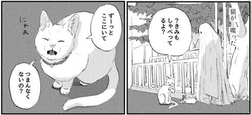 「理解した瞬間ブワッときた」「読み返すほどに涙が」 しゃべる白猫と不思議な"しろいの"の漫画に涙が止まらない https://t.co/bvqAxzYHjt @itm_nlabより 