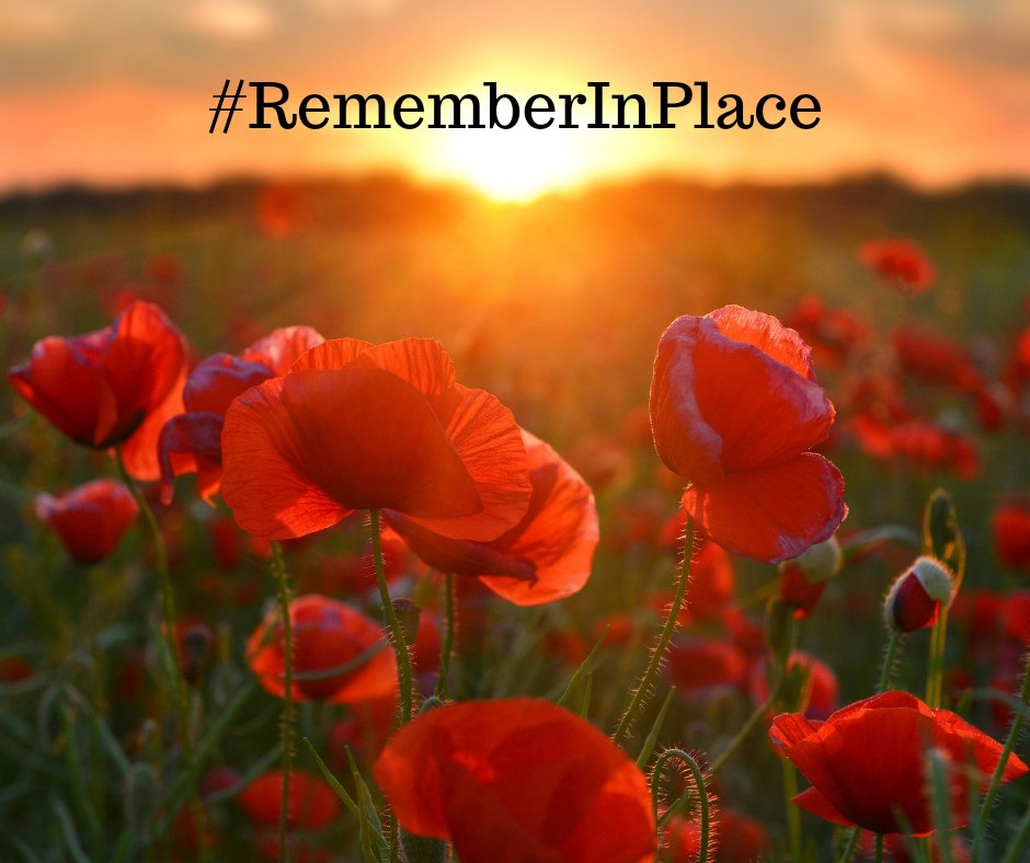 WTFC7's tweet photo. Did you know that 2021 marks the 100th anniversary of the Remembrance Poppy in Canada?
Story Courtesy of the Royal Canadian Legion:
https://t.co/eQP09z6250
#RemembranceDay2021
#RememberInPlace
#lestweforget2021 https://t.co/tqj53S18f0