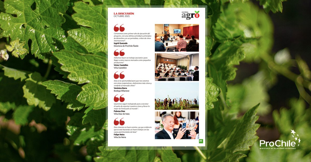 ProChile_Nuble's tweet photo. En la revista "Agro" de @ladiscusioncl 🗞️, pueden ver los detalles de las distintas actividades que realizamos como Dirección Regional en conjunto con distintas Oficinas Comerciales 🇬🇧🇺🇸🇨🇳🇧🇷🇷🇺, para promover los vinos del Valle del Itata 🍷🍇.
Más info.➡️: https://t.co/sjBHIlBey0 https://t.co/XCQGy5XQUu