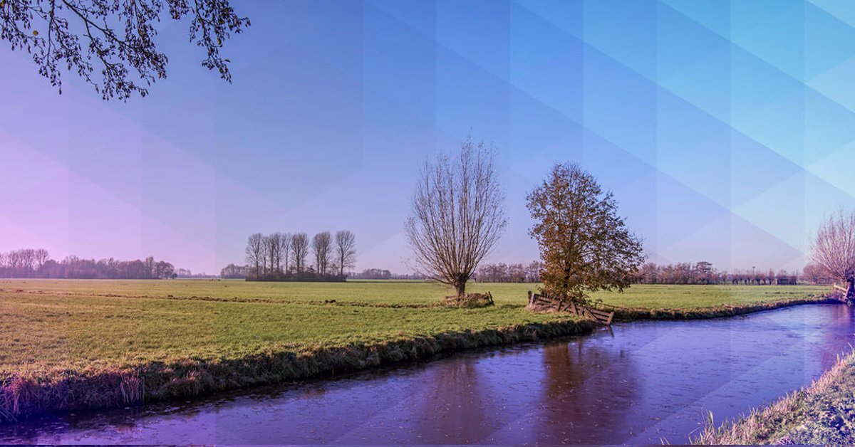 Drake Manning tweet media