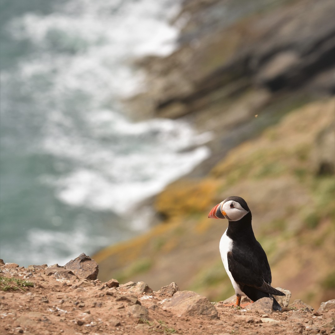 National Trust tweet media