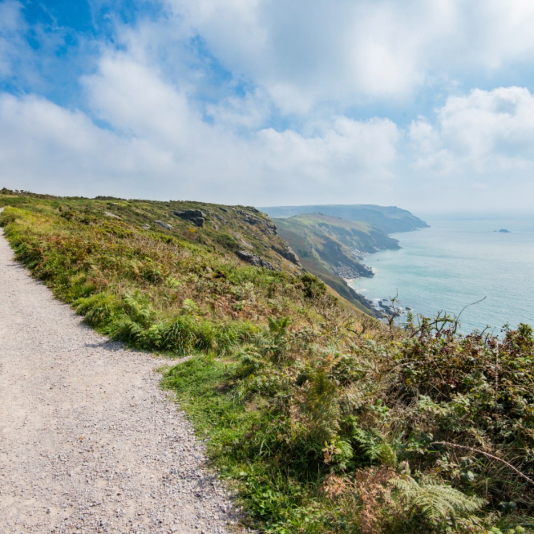 National Trust tweet media