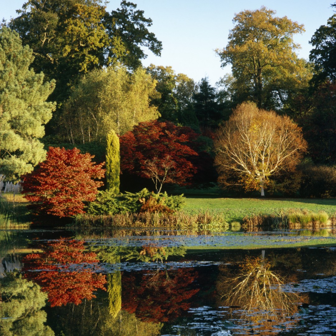 National Trust tweet media