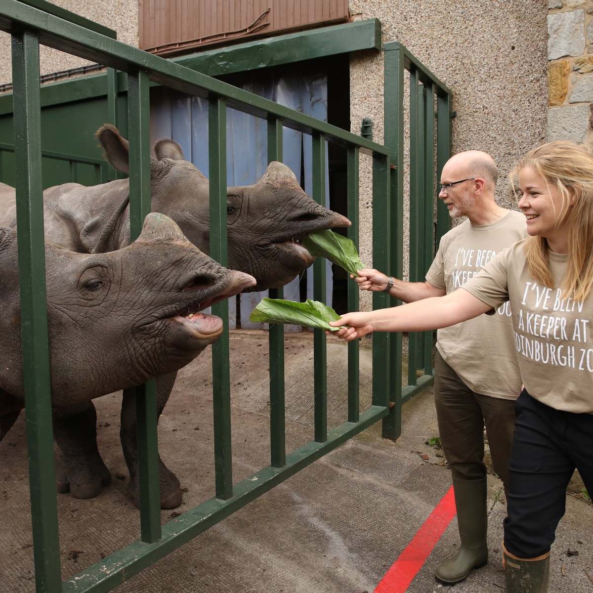 echcharity's tweet photo. In advance of our Ultimate Sports Quiz, our online auction is LIVE! Get your hands on amazing prizes including Signed Sports Kits, Supercars, Mini-Breaks, Zoo Days &amp; Delicious Dinners...
Details here:
https://t.co/itvVb4wmxh
Good luck &amp; happy bidding! ���✨♥ https://t.co/q0O0vzh1wa